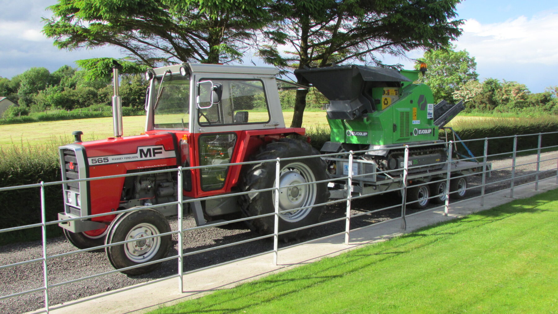 Bisonte 35