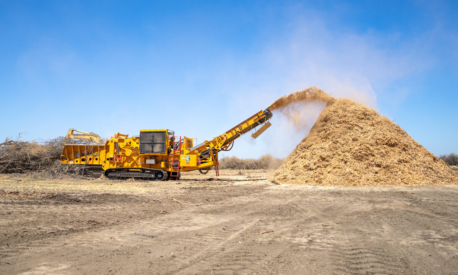 CBI 6800CT horizontal grinder processing orchard waste into mulch on site.