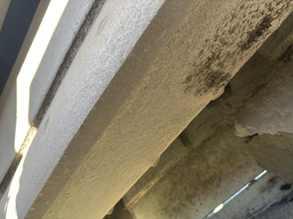 2024 EVOQUIP COBRA 290R