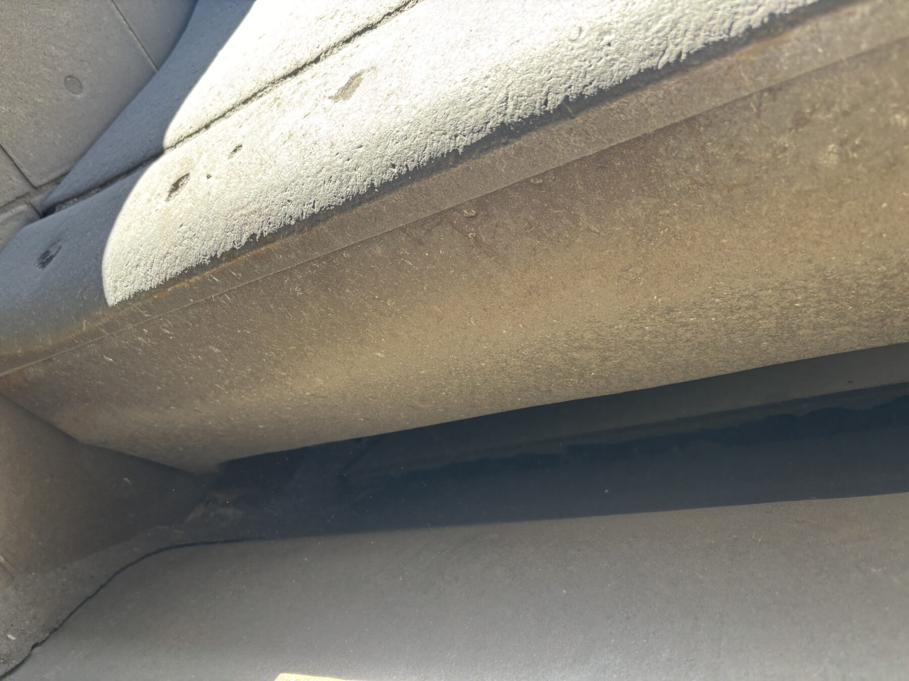 2024 EVOQUIP COBRA 290R