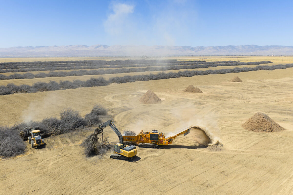 CBI 6800CT Horizontal Grinder working in an orchard.